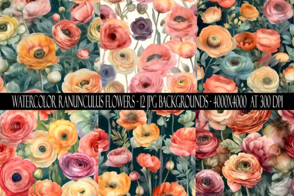 Watercolor Ranunculus Flower Backgrounds: A Designer's Guide